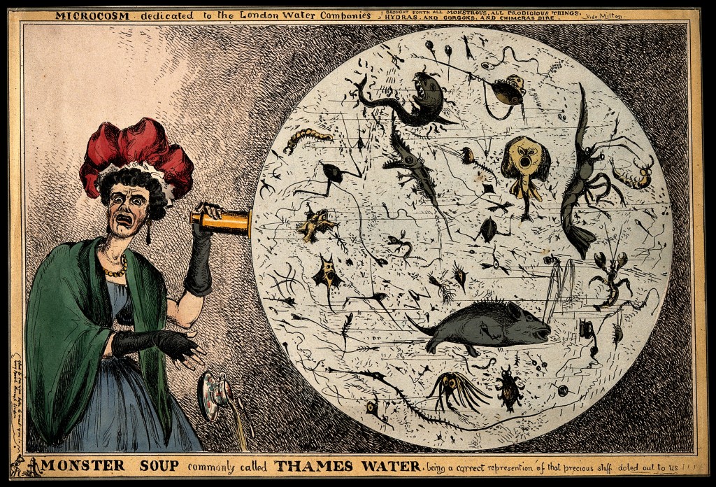 Credit: Wellcome Library, London. Wellcome Images images@wellcome.ac.uk http://wellcomeimages.org An woman dropping her tea-cup in horror upon discovering the monstrous contents of a magnified drop of Thames water; revealing the impurity of London drinking water. Coloured etching by W. Heath, 1828. 1828 By: William HeathPublished: 1828] Copyrighted work available under Creative Commons Attribution only licence CC BY 4.0 http://creativecommons.org/licenses/by/4.0/